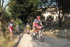 2009-XCBENINI-1031