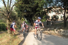 2009-XCBENINI-1032