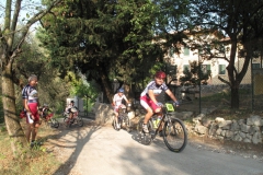 2009-XCBENINI-1035