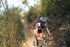 2009-XCBENINI-1057