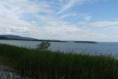 2010-trasimeno-1072