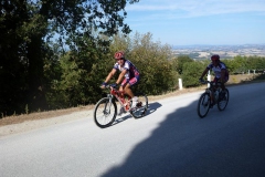 CRETE SENESI (1029)