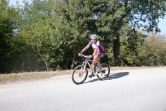 CRETE SENESI (1031)