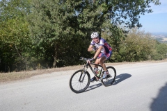 CRETE SENESI (1037)