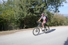 CRETE SENESI (1038)