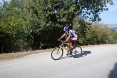 CRETE SENESI (1039)