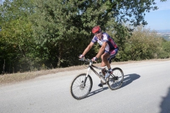 CRETE SENESI (1040)