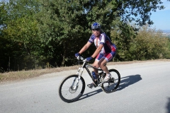 CRETE SENESI (1041)