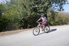 CRETE SENESI (1042)