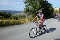 CRETE SENESI (1043)