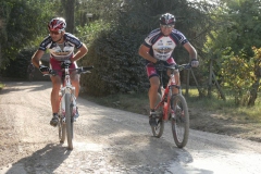 CRETE SENESI (1044)