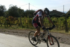 CRETE SENESI (1045)