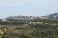 CRETE SENESI (1047)