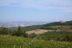 CRETE SENESI (1053)