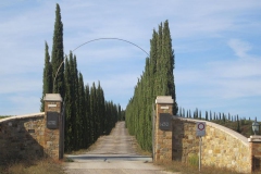 CRETE SENESI (1060)