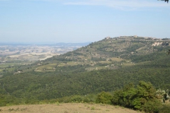 CRETE SENESI (1062)