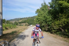 CRETE SENESI (1066)