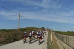 CRETE SENESI (1068)