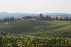 CRETE SENESI (1097)