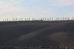 CRETE SENESI (1098)