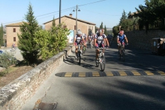 CRETE SENESI (1110)