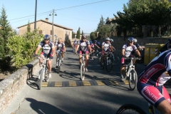 CRETE SENESI (1111)