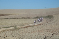 CRETE SENESI (1121)