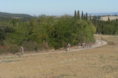 CRETE SENESI (1122)