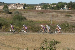 CRETE SENESI (1123)