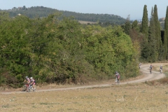 CRETE SENESI (1124)