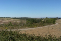 CRETE SENESI (1127)