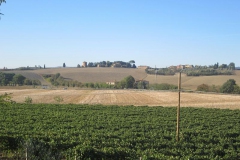 CRETE SENESI (1129)