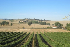 CRETE SENESI (1130)