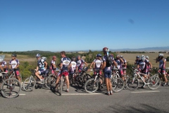 CRETE SENESI (1131)