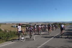 CRETE SENESI (1132)