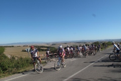 CRETE SENESI (1133)