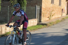 CRETE SENESI (1161)