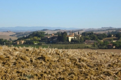 CRETE SENESI (1163)