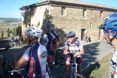 CRETE SENESI (1172)