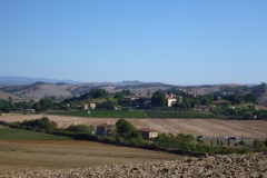 CRETE SENESI (1174)