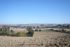 CRETE SENESI (1177)