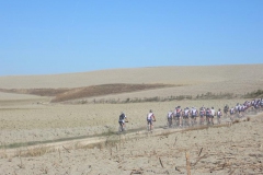 CRETE SENESI (1179)