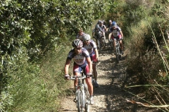 CRETE SENESI (1185)