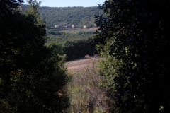 CRETE SENESI (1192)