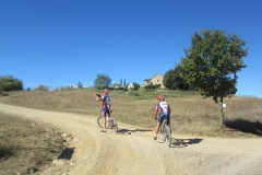 CRETE SENESI (1193)