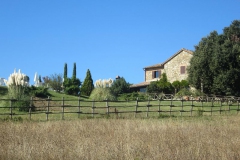 CRETE SENESI (1195)