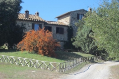 CRETE SENESI (1196)