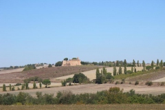 CRETE SENESI (1198)