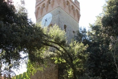 CRETE SENESI (1203)