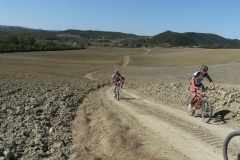 CRETE SENESI (1208)